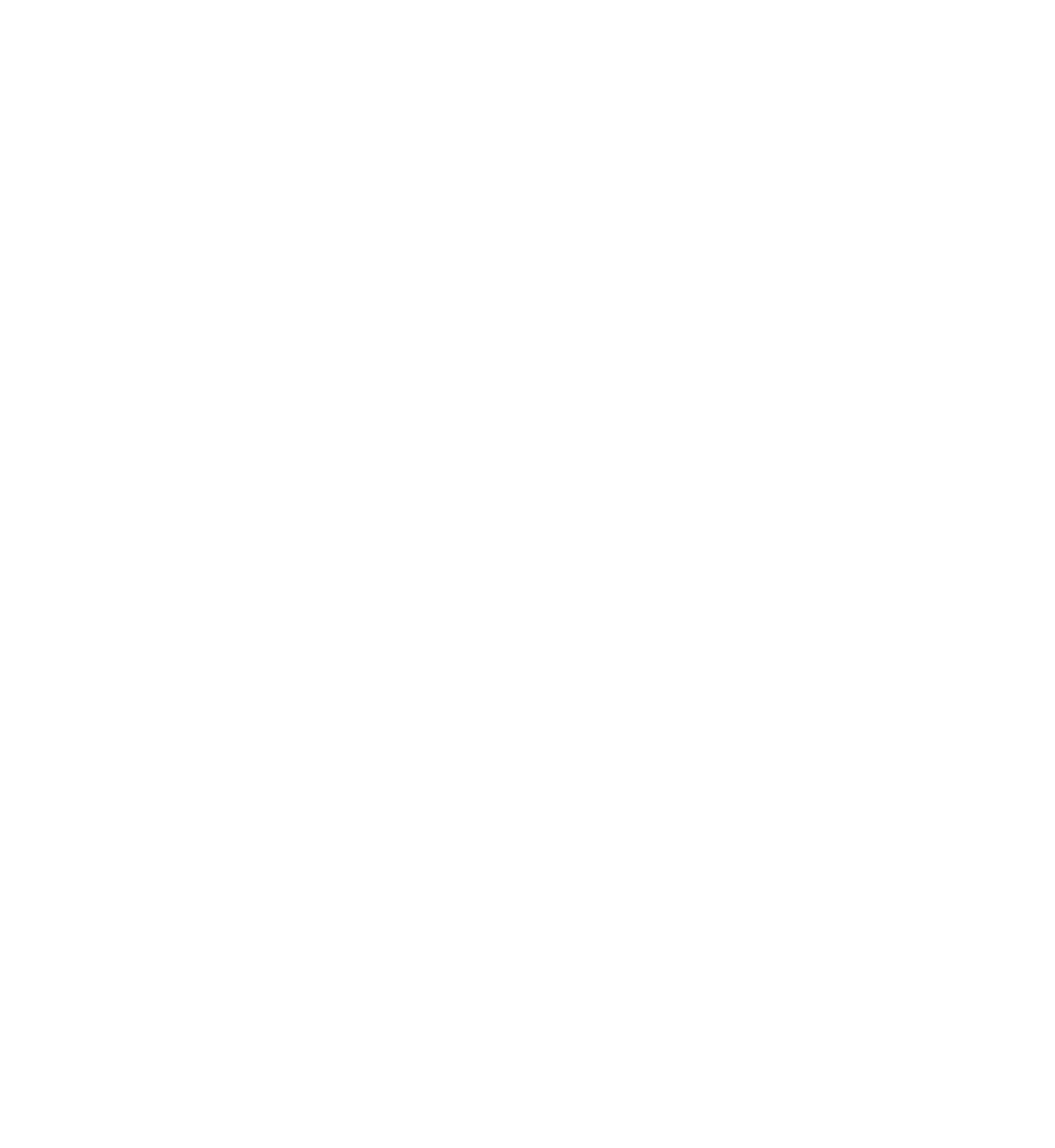 Primus brand logo